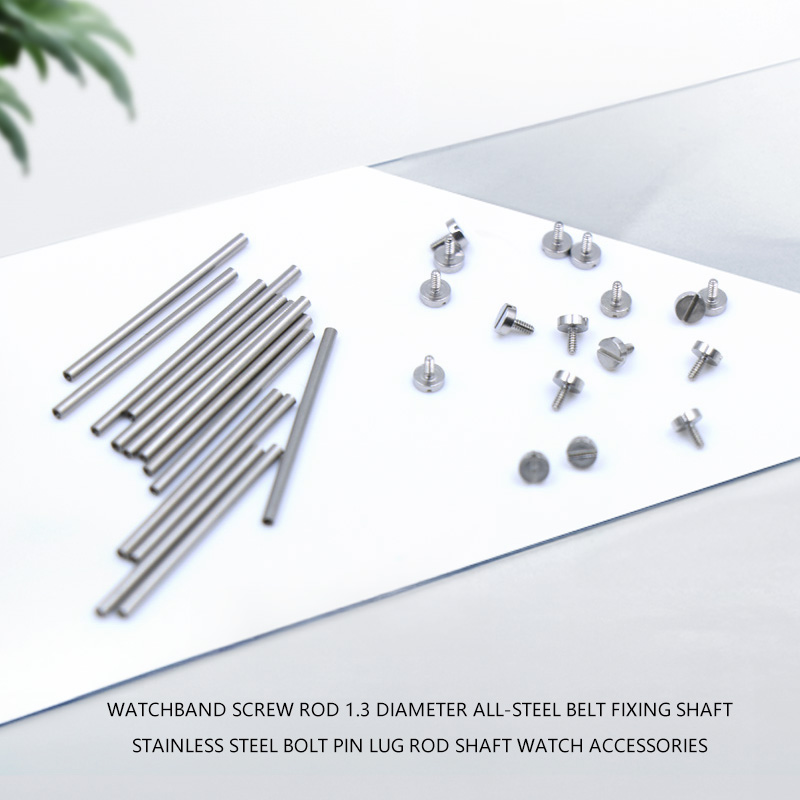 Replacement Watch Bracelet - 2 Piezas Varilla de tornillo para